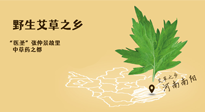 艾草越嫩越好，還是越久越好？悄悄告訴你：艾草這樣用，效果最好！