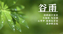 【二十四節(jié)氣灸】谷雨時(shí)節(jié)，用艾為您的健康加上一道保險(xiǎn)！