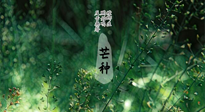 【二十四節(jié)氣灸】芒種節(jié)氣，培土補(bǔ)脾、養(yǎng)陰生津！艾灸這些穴位事半功倍！