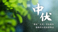 【三伏養(yǎng)生】至熱中伏，吃三樣，喝三樣，三大禁忌千萬(wàn)別犯，小心落下病根！