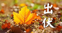 【三伏養(yǎng)生】出伏后做好養(yǎng)生很關(guān)鍵！一行要注意！