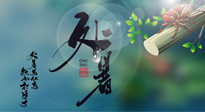 【二十四節(jié)氣灸】處暑艾灸，排夏季余毒，健康迎秋冬！