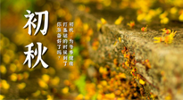 【艾灸知識(shí)】初秋，為冬季健康打基礎(chǔ)的時(shí)候到了，你準(zhǔn)備好了嗎？