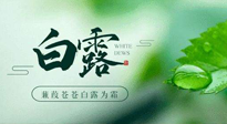 【二十四節(jié)氣灸】白露涼爽，養(yǎng)心肝脾胃、滋陰潤(rùn)肺是關(guān)鍵！