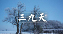 【三九養(yǎng)生】冬三九，三九第三灸，一年中最后艾灸黃金9天！