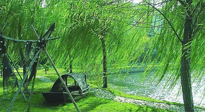 【養(yǎng)生知識】元宵入六九，春季已至，六九天的養(yǎng)生知識你知道多少？