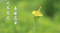 【九九養(yǎng)生】三月四日“九九日”，寒冬已過(guò)。春天養(yǎng)好身，全年不怕??！