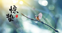 【二十四節(jié)氣灸】驚蟄節(jié)氣，艾灸喚醒抵抗力、補(bǔ)充陽(yáng)氣的最好時(shí)機(jī)！