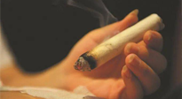 【艾灸知識(shí)】春暖花開(kāi)，衣衫漸薄，再不減肥，身上的肉肉可藏不住了！