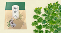 【行業(yè)資訊】國(guó)內(nèi)首部艾草專(zhuān)著《南陽(yáng)艾》，在南陽(yáng)新書(shū)首發(fā)！