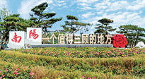 【行業(yè)資訊】南陽一個值得三顧的地方！“丹江水”“仙草艾”成為 “南陽禮物”新爆款！