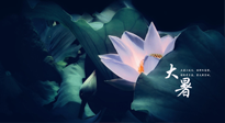 【二十四節(jié)氣灸】趁大暑好好艾灸，才不辜負(fù)三伏天的驕陽！