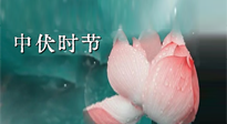 【艾灸三伏天】中伏：三伏灸的關(guān)鍵轉(zhuǎn)折點(diǎn)！“灸”除病根的大好時(shí)機(jī)！