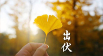 【艾灸三伏天】出伏啦！三防三宜兩穴位，防止身體“秋后算賬”！