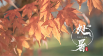 【二十四節(jié)氣灸】處暑，冬病夏治倒計時！秋涼真的要來了！