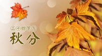 【二十四節(jié)氣灸】秋分節(jié)氣，平衡陰陽，巧用艾灸，潤燥養(yǎng)肺是關(guān)鍵！