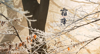 【二十四節(jié)氣灸】霜降節(jié)氣：艾灸四穴，護您冬天安然無恙！