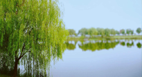 【艾灸知識(shí)】春三月，必艾灸穴位：疏肝理氣，養(yǎng)血調(diào)神！