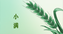 【二十四節(jié)氣灸】小滿節(jié)氣記得艾灸，悠悠長夏，健康度過！