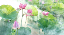 【養(yǎng)生知識(shí)】花開半夏，夏至養(yǎng)生，這些知識(shí)一定要牢記！