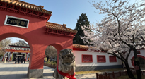 【行業(yè)資訊】新華財(cái)經(jīng)：守正創(chuàng)新，中醫(yī)藥品牌化發(fā)展“更上一層樓”！