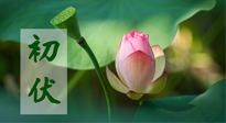 【三伏天】初伏將至，“蒸煮”模式開啟！想要健康，這四類食物別錯過?。? />
                    </a>
                </div>
            </li>
            
            <li id=