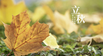 【節(jié)氣養(yǎng)生】甲辰立秋，“2做”、“2不做”，護(hù)好我們身體的正氣，預(yù)防外邪的侵襲！