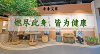 【艾草知識】小小艾草，渾身是寶，一生燃盡此身，皆為健康！